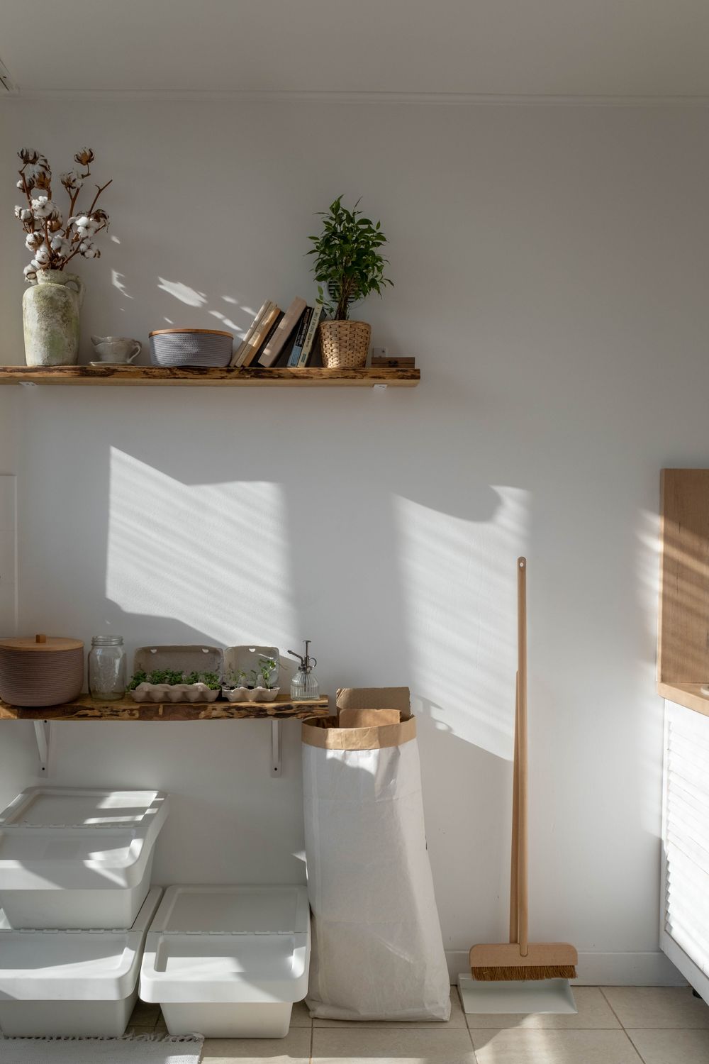 Zero-Waste Lifestyle Transition Guides